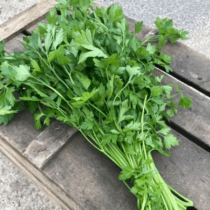 Aromatique fraiche PERSIL SIMPLE