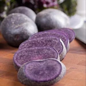 pomme de terre violette