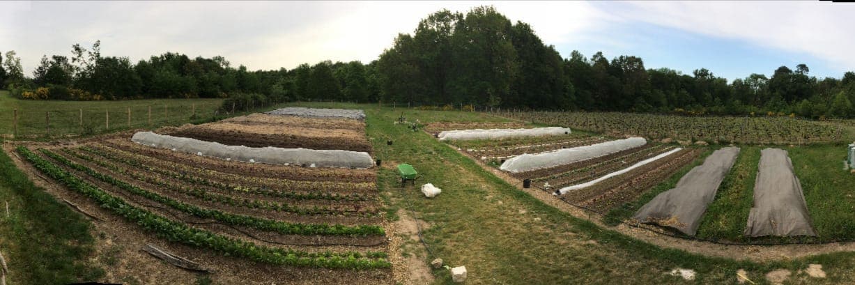 Bannière de Le Potager de Versailles
