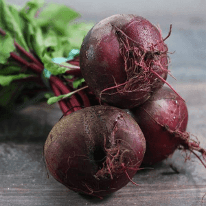 Betterave botte