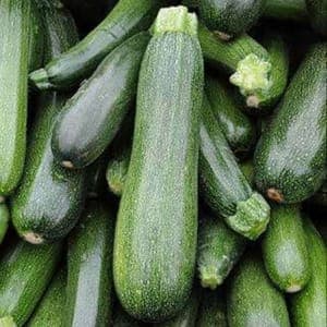 Courgette