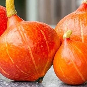 courge