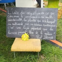 La Ferme du Mycélium #5