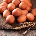 Oeufs