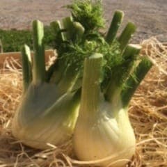 FENOUILS (600 Grammes)