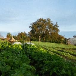 La Grange #4
