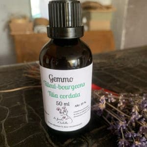 Gemmothérapie Ronce