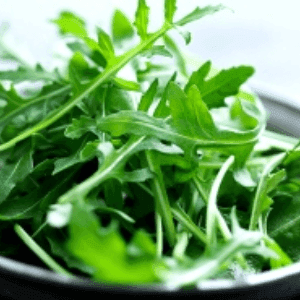 Roquette