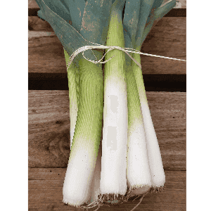 Poireaux environ 1 Kg