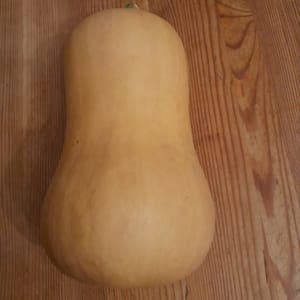 Courge Butternut