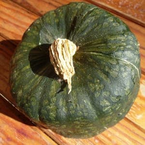 Courge Buttercup