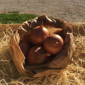 OIGNONS ROSES (600 grammes)