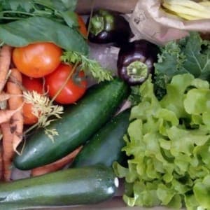 Panier de légumes