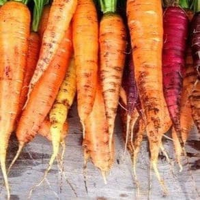 carotte vrac
