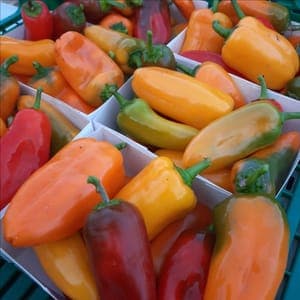 Minis poivrons "apéro"