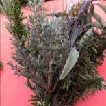bouquet d'aromatiques