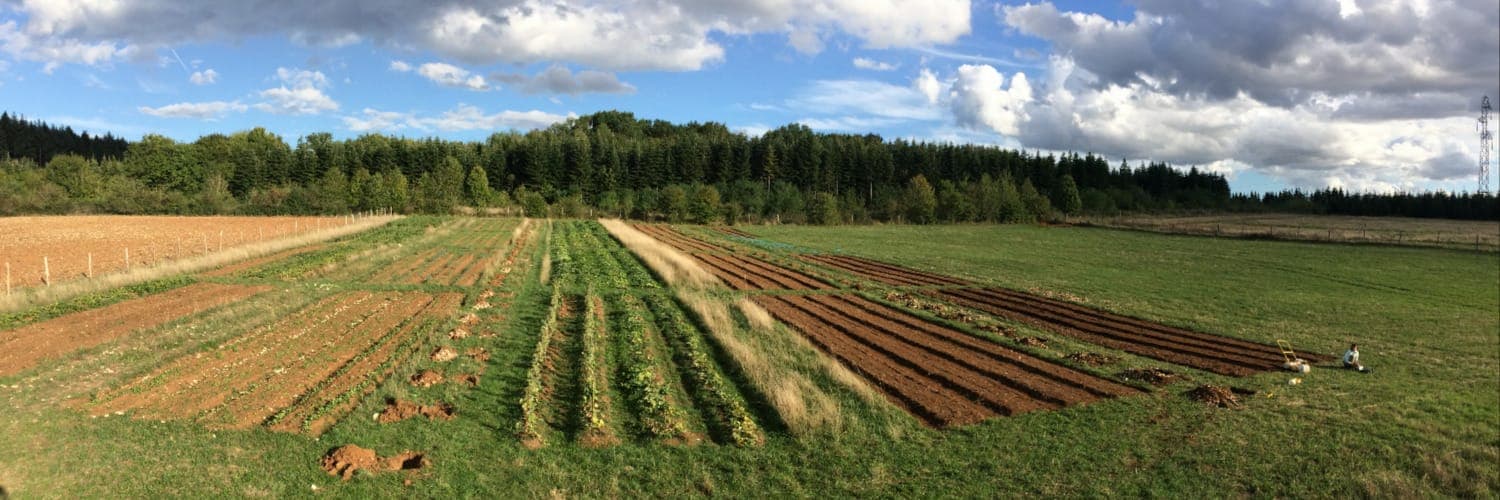 Bannière de Les Serres du Phénix