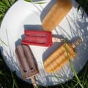 10 Sorbets bâtonnets