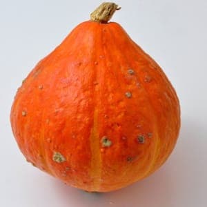 courge