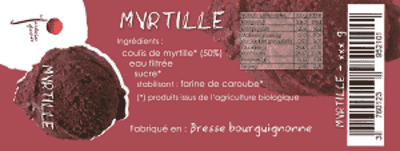 SORBET PLEIN FRUIT MYRTILLE 516ML