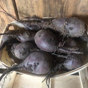 Betteraves rouges crues