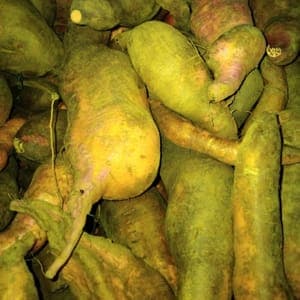 Patate Douce