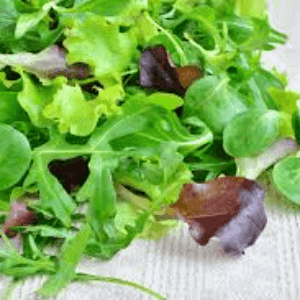 Mesclun d'automne (salade)