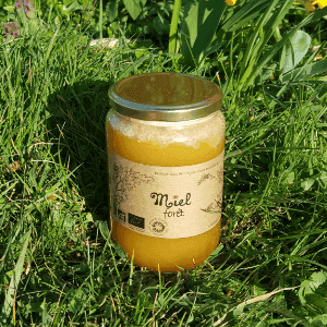 Miel Forêt
