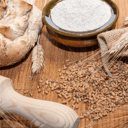 La ferme bio de Truffières #8