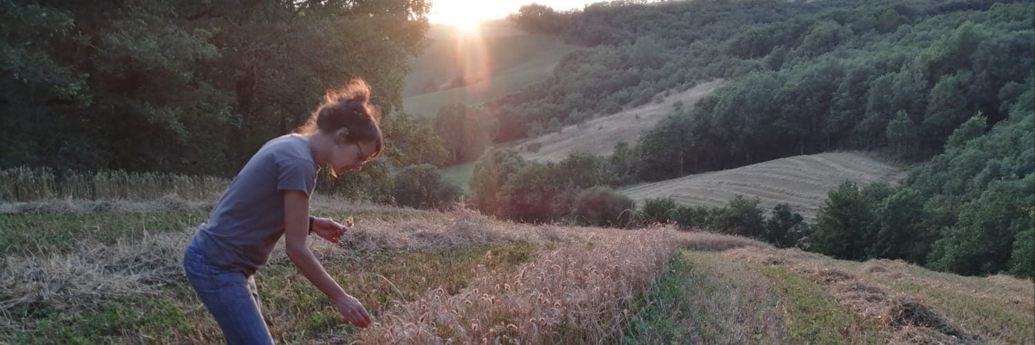 Bannière de Montplaisir