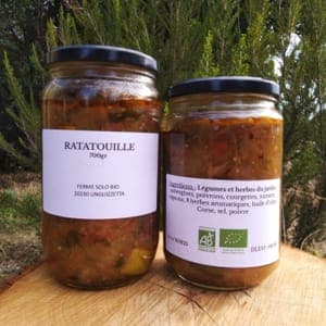 Ratatouille du jardin