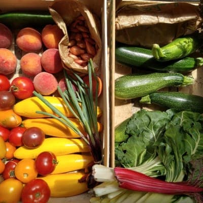 Logo de LIVRAISON THELOTTES ANGOULEME