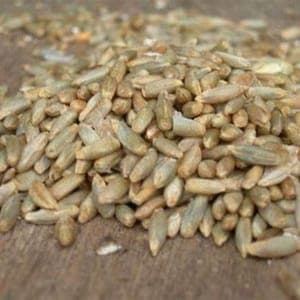 Farine de Seigle tous usage