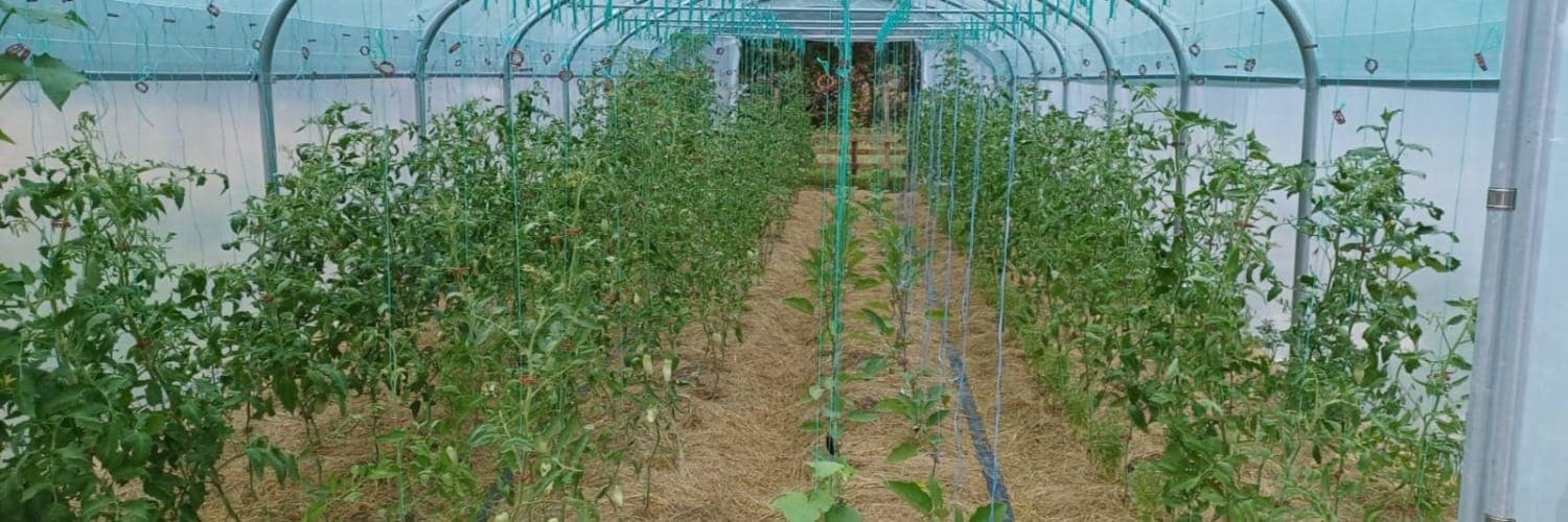 Bannière de La ferme du Cerf-feuille