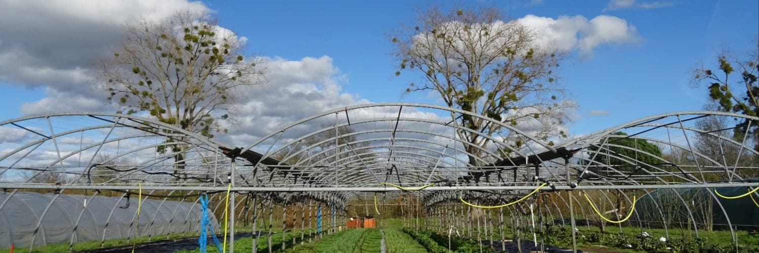 Bannière de Les Jardins de la Chapelle