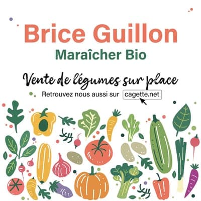 Logo de Chez Brice GUILLON, Maraîcher Bio à Marsaz