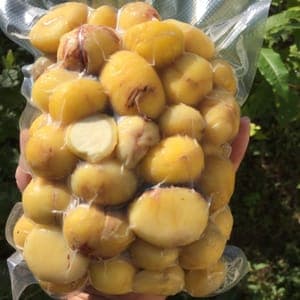 1 kg Sachets de marrons blanchis