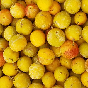 Mirabelles