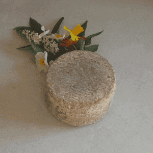 Fromage - Tomette de vache fraîche