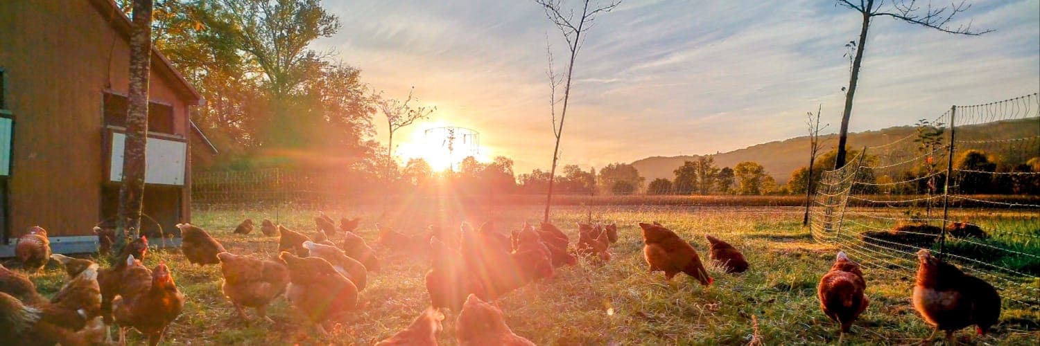 Bannière de La ferme du Palassou