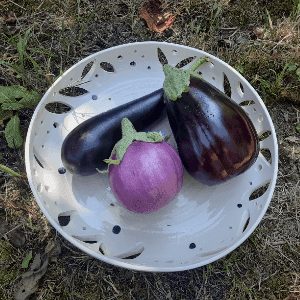 Aubergine (Sarrat)