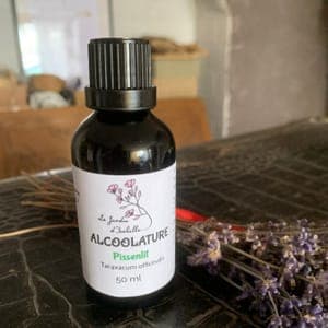 Alcoolature pissenlit