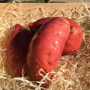 PATATES DOUCES (800 Grammes)