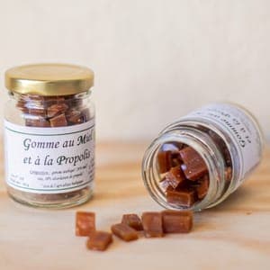 Gomme au Miel et à la Propolis (50g)