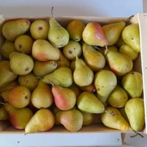 POIRE BIO