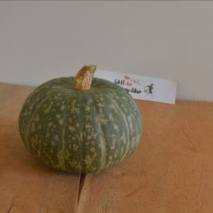 potimarron vert