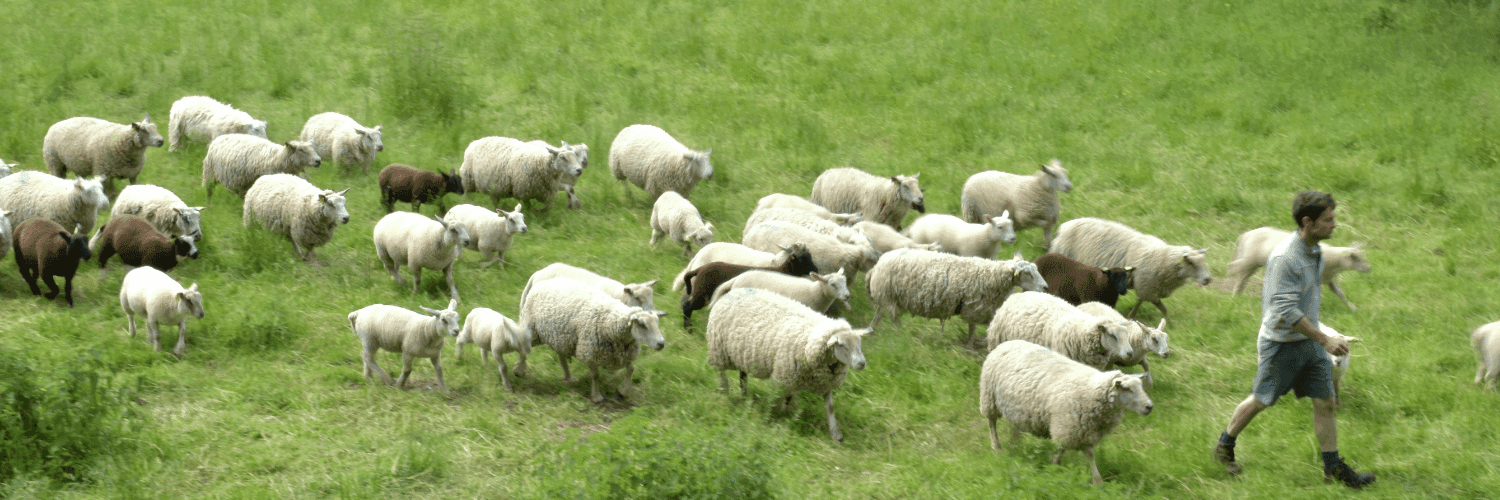 Bannière de Ferme du Puy Larcy