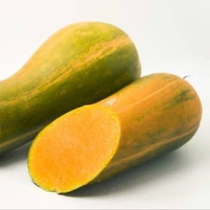 courge longue de Nice POIDS A CHOISIR SUR PLACE