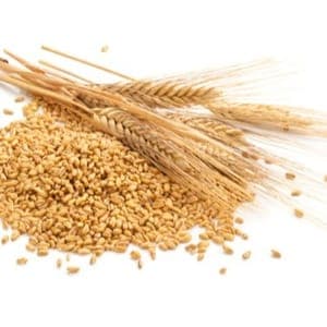 Farine d'épeautre Pâtissière