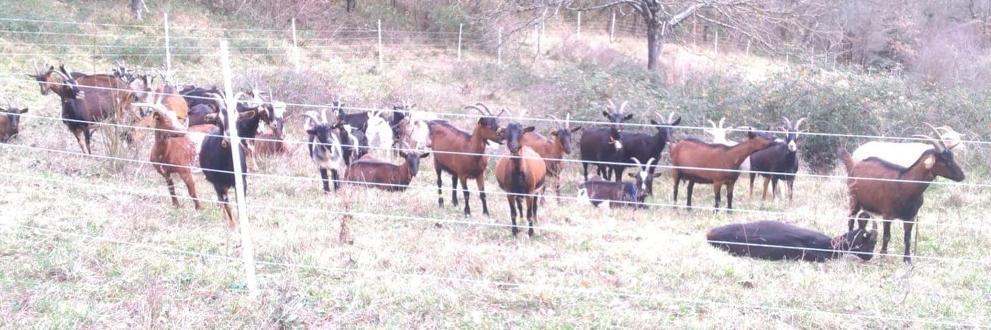 Bannière de fromagerie de Courtevoux